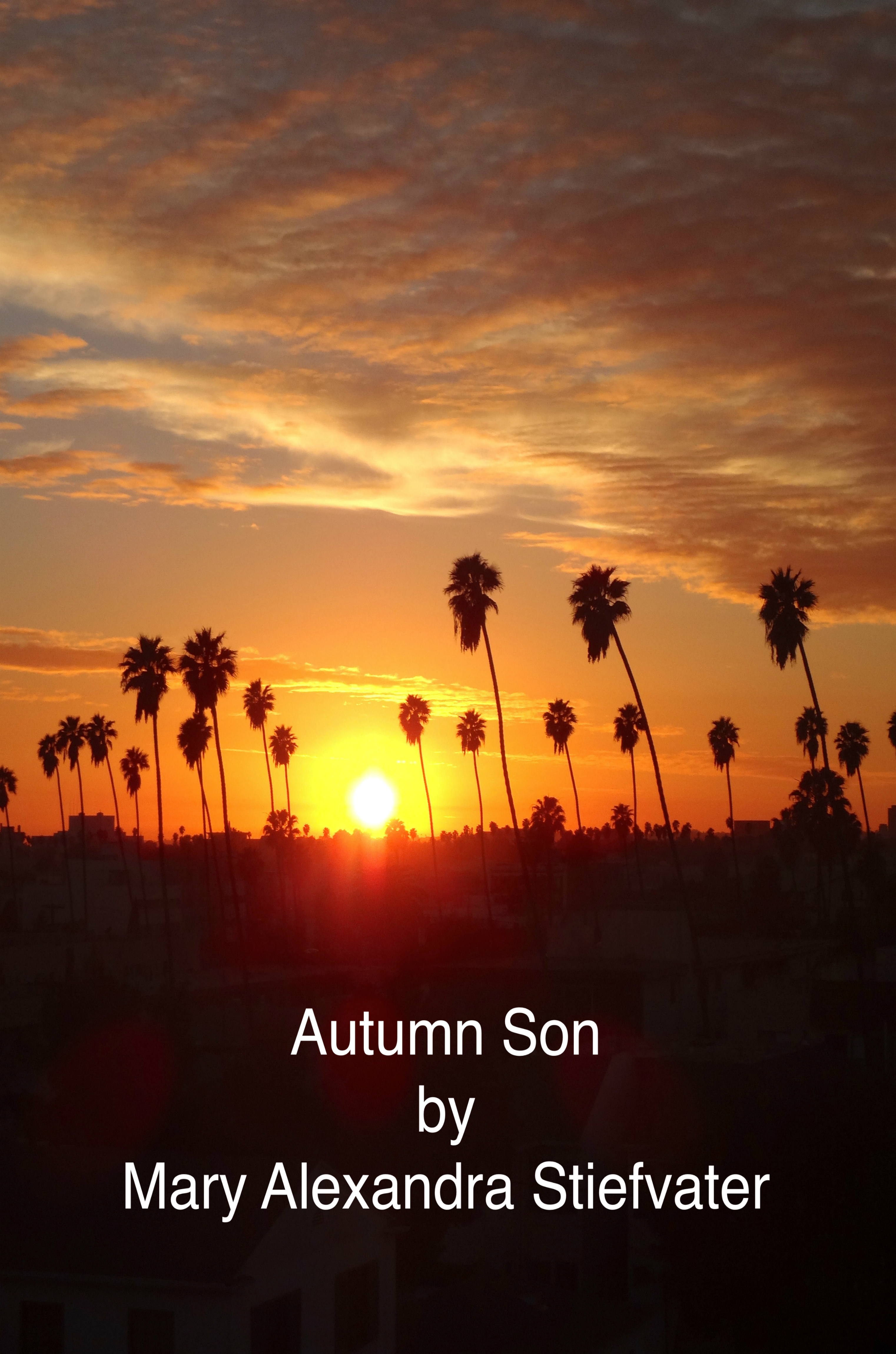 autumn-son-by-m-stiefvater-cover