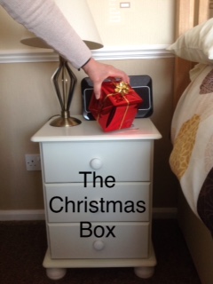The Christmas Box by Nina Kitty Kemp Cover