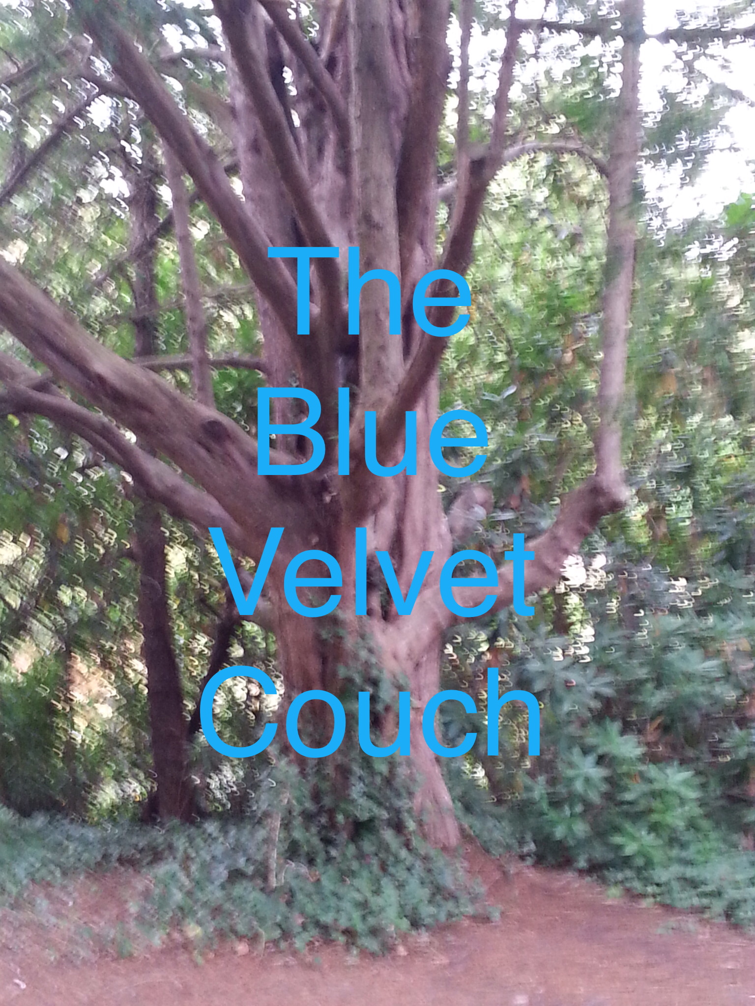 The Blue Velvet Couch Cover