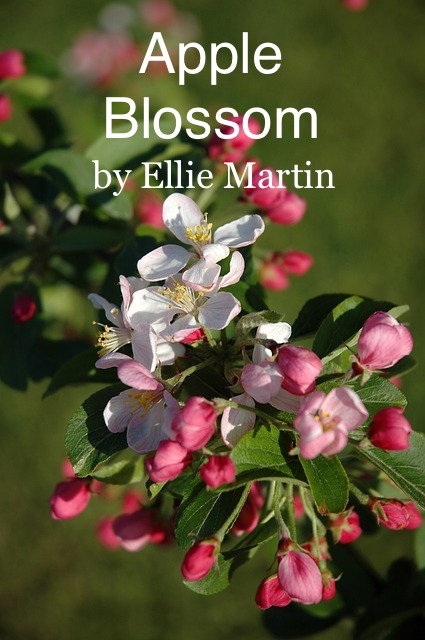 Apple Blossom cover