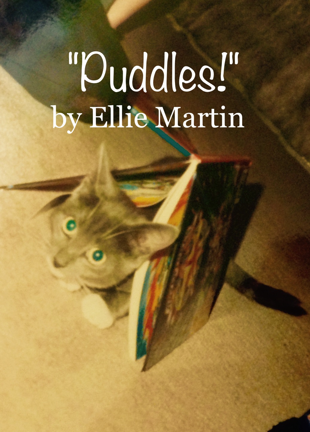 Puddles by Ellie Martin cover
