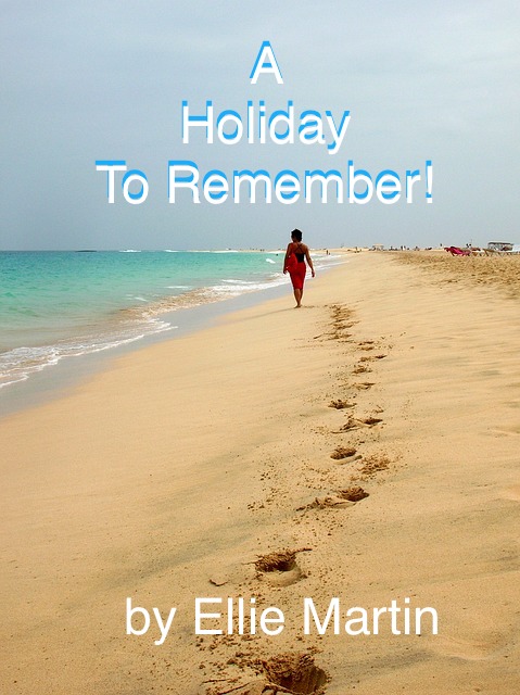 A Holiday to Remember by Ellie Martin Cover